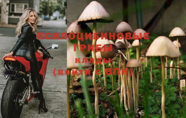 мескалин Нефтекумск