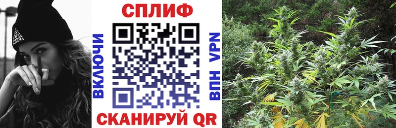 Бошки марихуана VHQ  даркнет сайт  Циолковский 